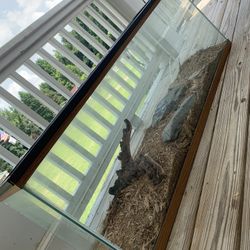 4x1 Reptile Tank/enclosure