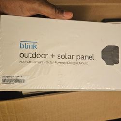 Blink Add-on Camera w/ Solar Panel