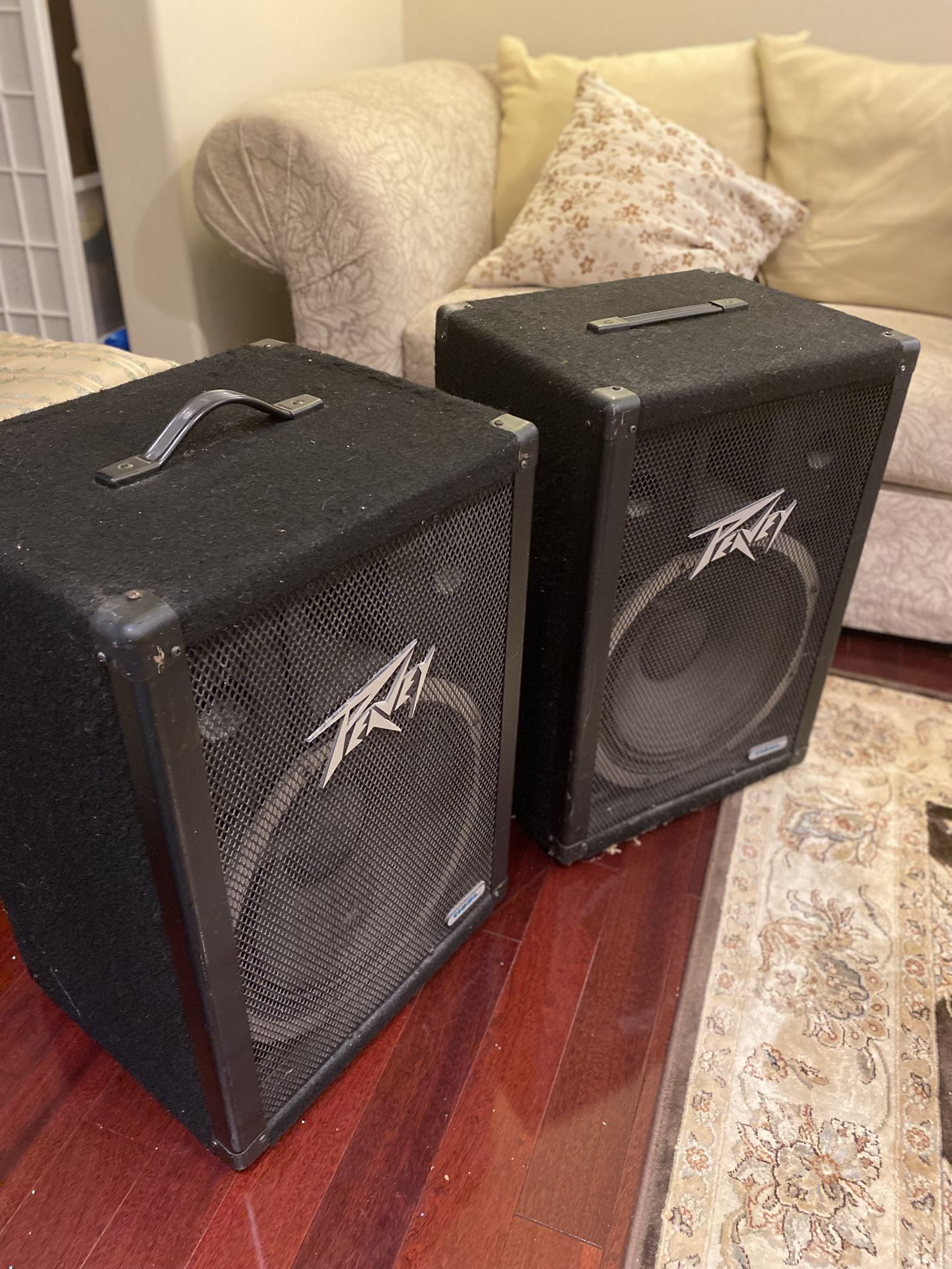Vintage Peavy speakers DL 115 Set Of 2