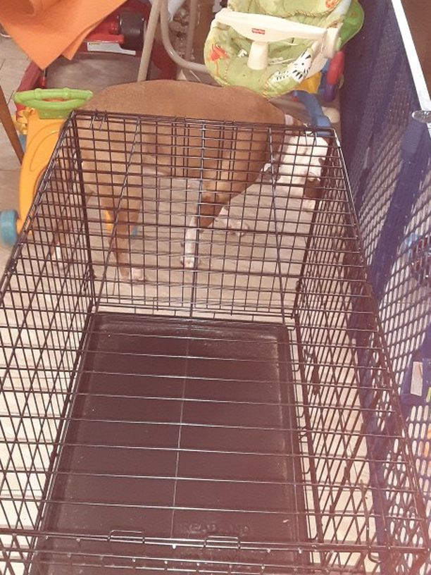 36 Inch Dog Cage