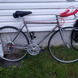 Vintage-Fuji Espree