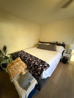 Cat proofed King Size bed frame with mattress