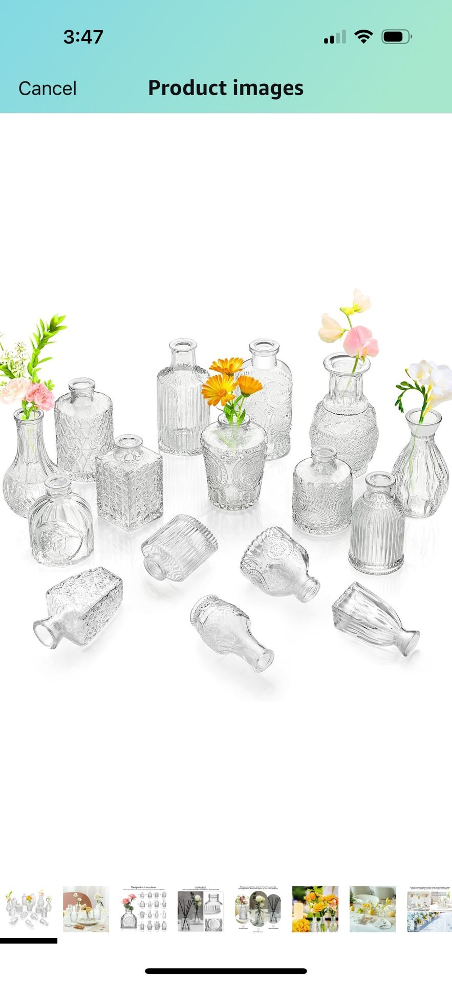 Glass Bud Vases Set of 20