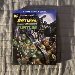 Batman Vs The Teen Mutant Ninja Turtles 