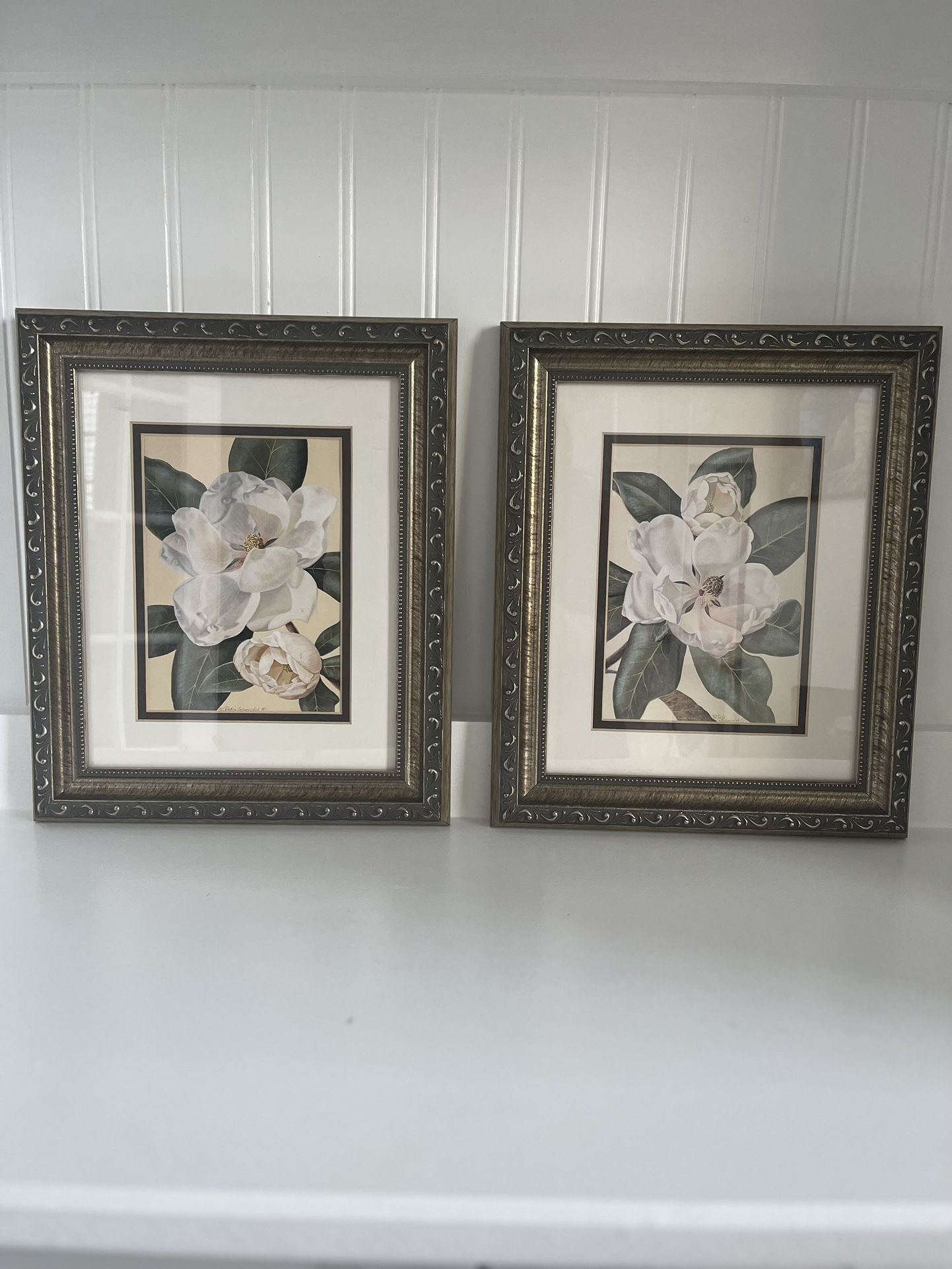 Magnolia Wall Art