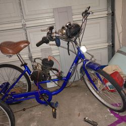 Tricycle Wt Engine