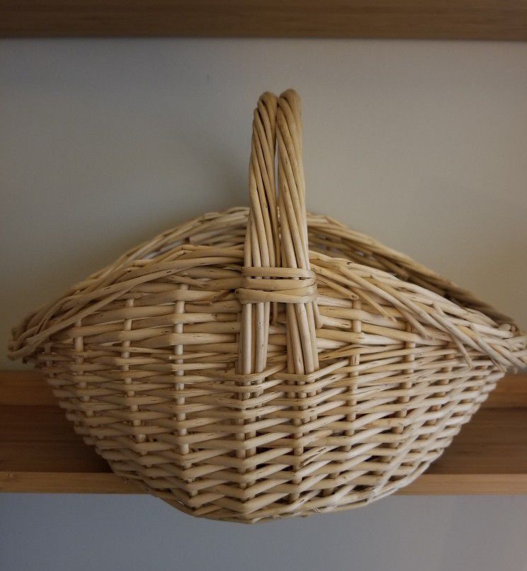 Oval Natural Willow Gathering Basket W/Handle 