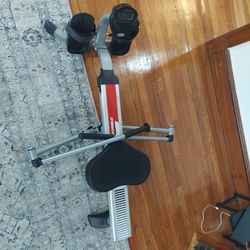 Stamina" Body Trac Glider row