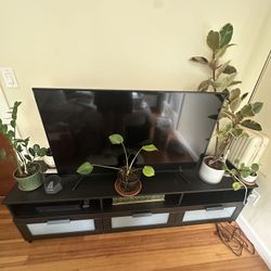 TV + TV Console + Xbox 