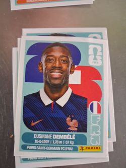 Panini stickers