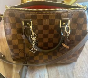 LOUIS VUITTON SPEEDY