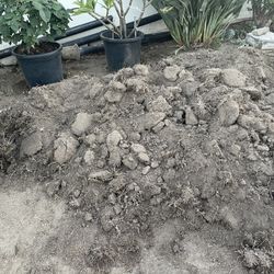 Free Dirt