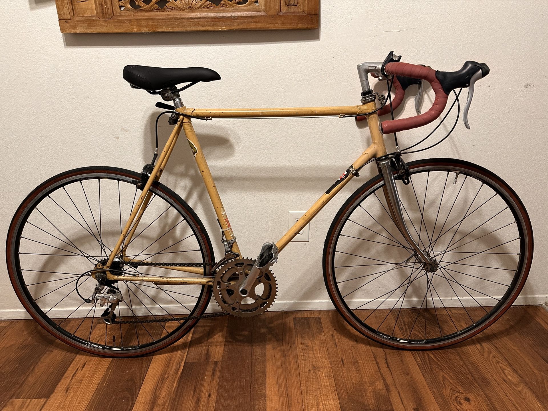 Vintage Takara 10 Speed Bike