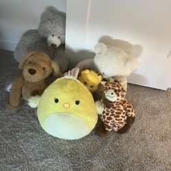 Stuffed Animals