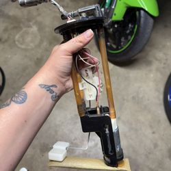 Polaris Fuel Pump Entire Assembly $120