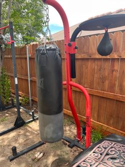 Stand& 100lb heavy bag