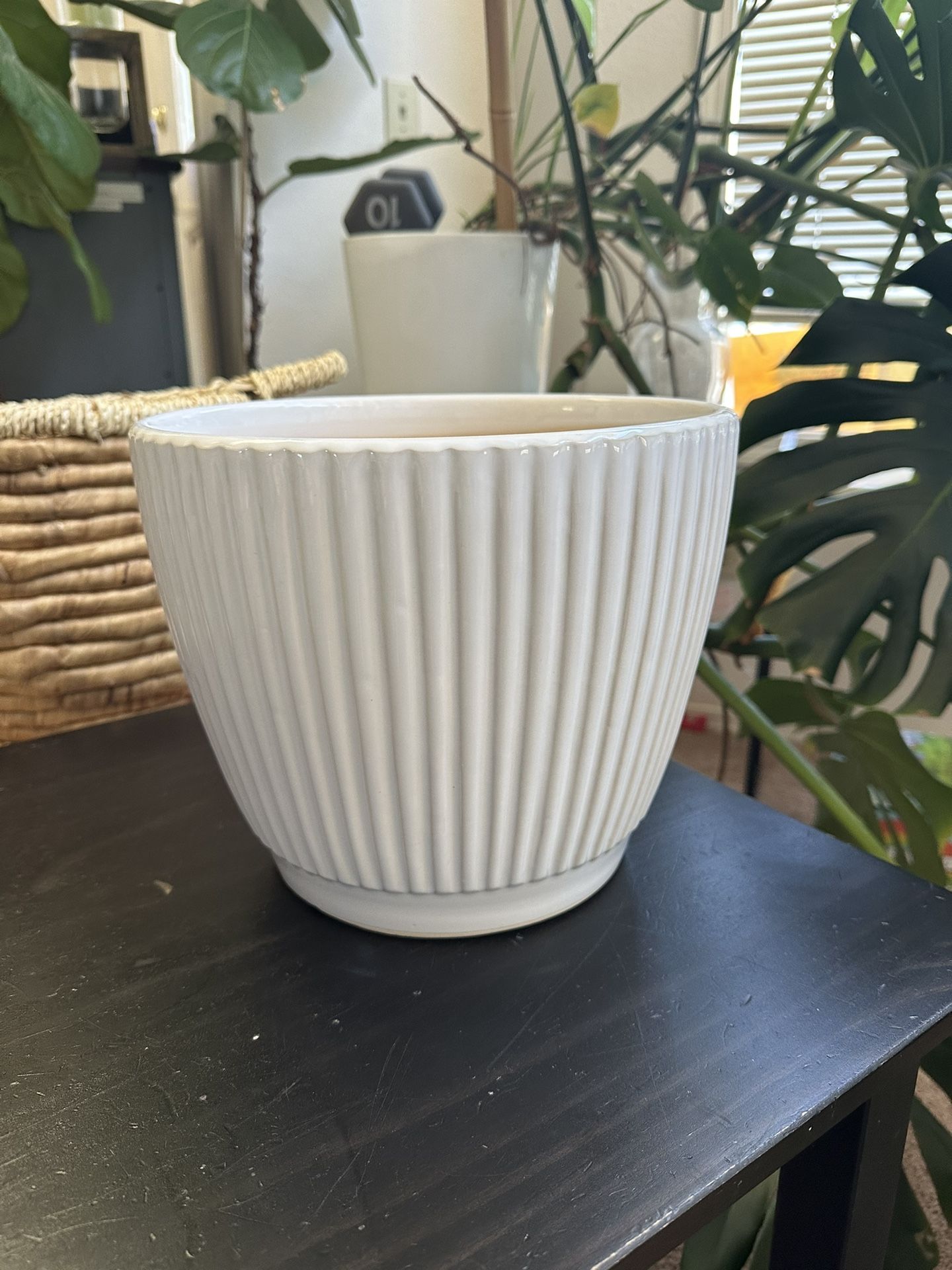 White Ceramic pot for plants