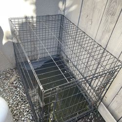 3 Kennels