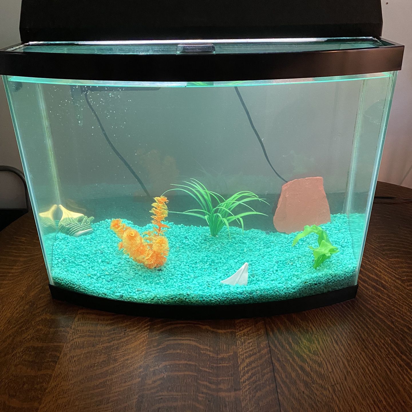 Fish Tank.  Bow Front, 26 Gallons   