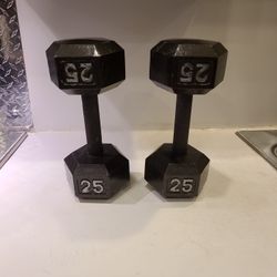 25 POUND WEIGHTS 