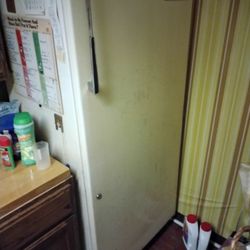 Stand Up Freezer