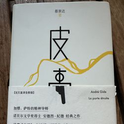 中文书 皮囊 蔡崇达 Chinese Book
