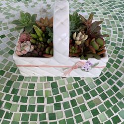 Small Ceramic Basket With Succulent Plants 