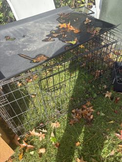 Dog Carrier