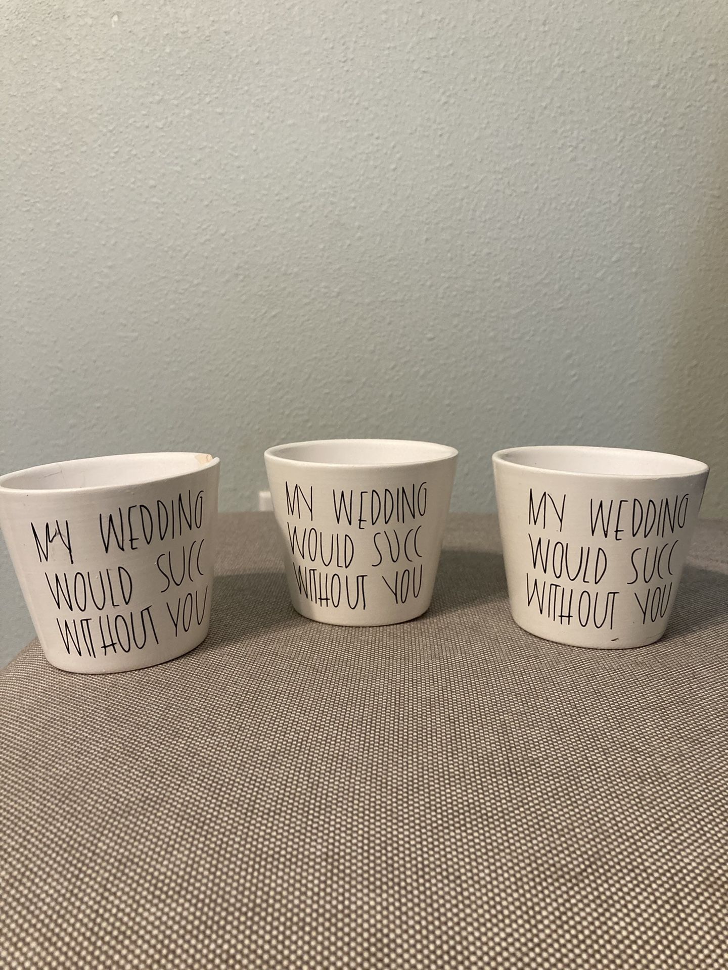 Bridesmaid Succulent Pots