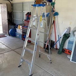 Aluminum Ladder