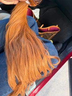 Extensiones clip