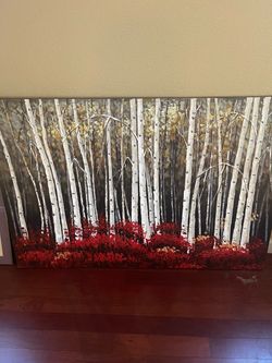 Large Birch Tree Forest Canvas Wall Art