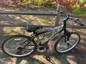 Nishiki Bike
