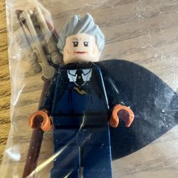 LEGO 76395. Harry Potter. Madam Hooch