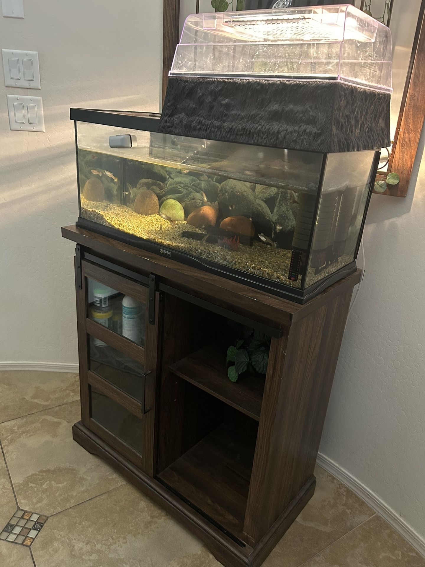 Fish/turtle Tank