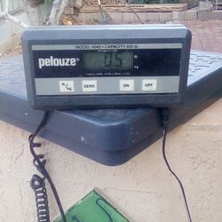 Pelouze Scale Mod 4040