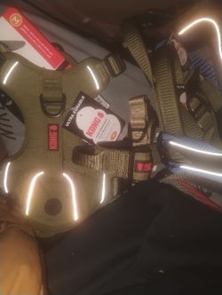 Kong Harnesses Collars And Leashes 