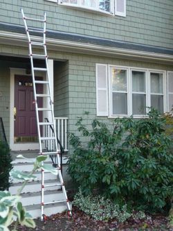 Little Giant M17 Ladder
