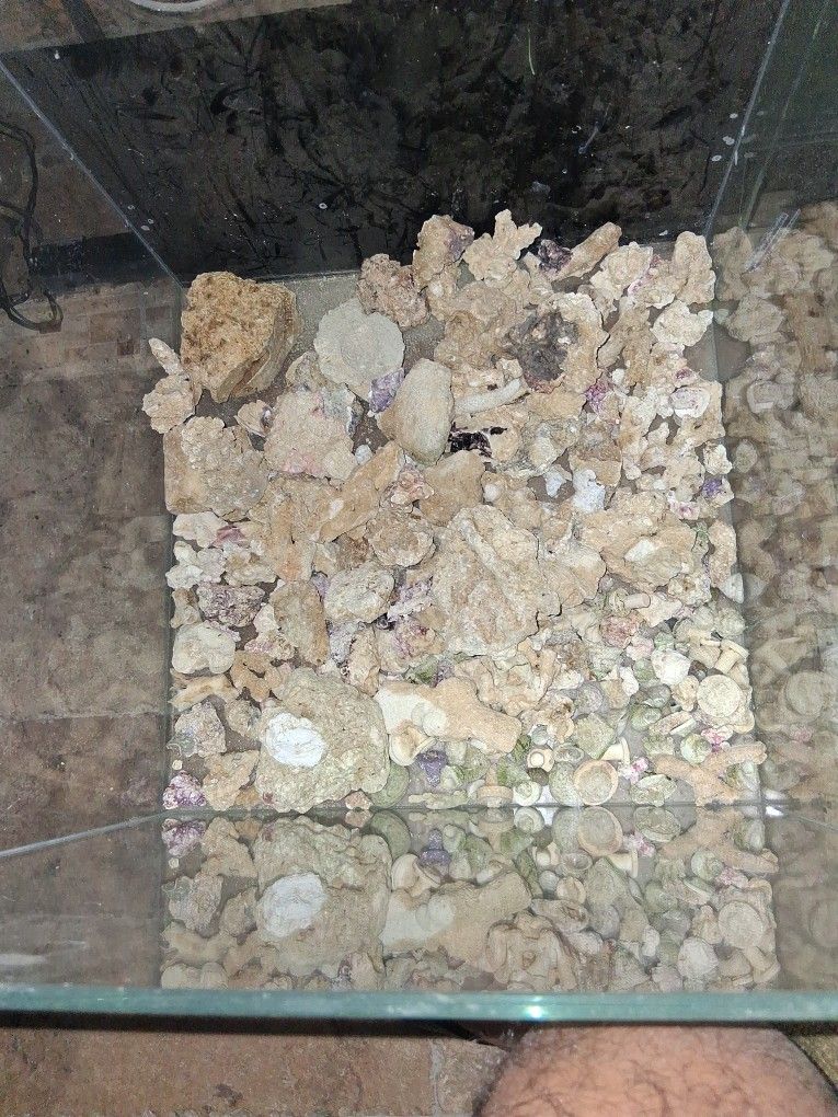 Dry Coral Ruble for a Reef Tank