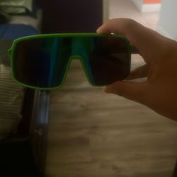 Sunglasses 