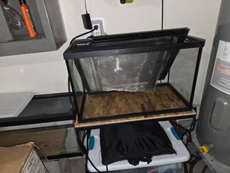 20 gallon Aquarium
