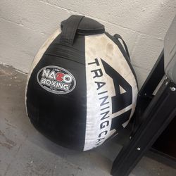 Professional punching bag