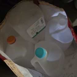 FREE 9 Empty / Clean Gal. Jugs in Tamarac 