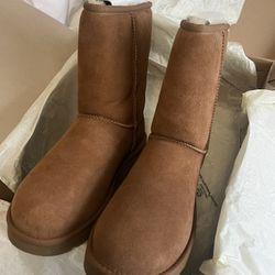 New Uggs W/ Box