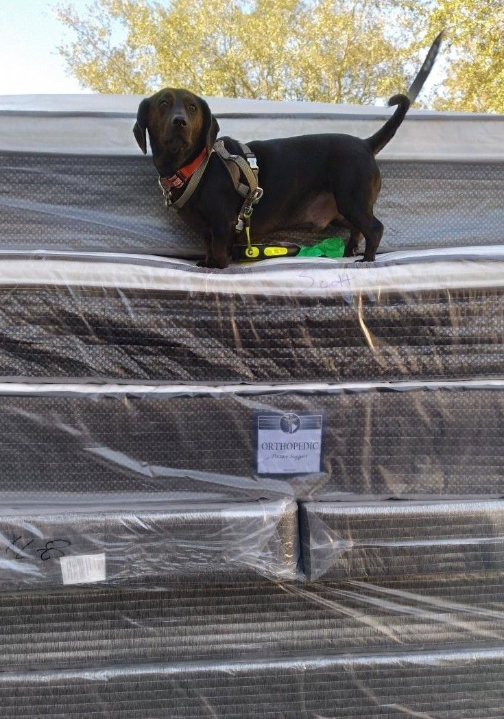 ❤️❤️❤️ QUEEN SIZE ORTHOPEDIC FIRM MATTRESS SET LIQUIDATION SALE ❤️❤️❤️