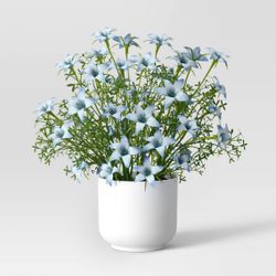 Small White Ceramic Pot Planter