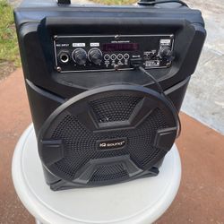 IQ Sound Portable Bluetooth Party Speaker