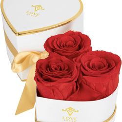 VLove Forever Roses in a Box | Real Roses Forever Flowers Box | Naturally Preserved Flowers (3 Red in Heart Box