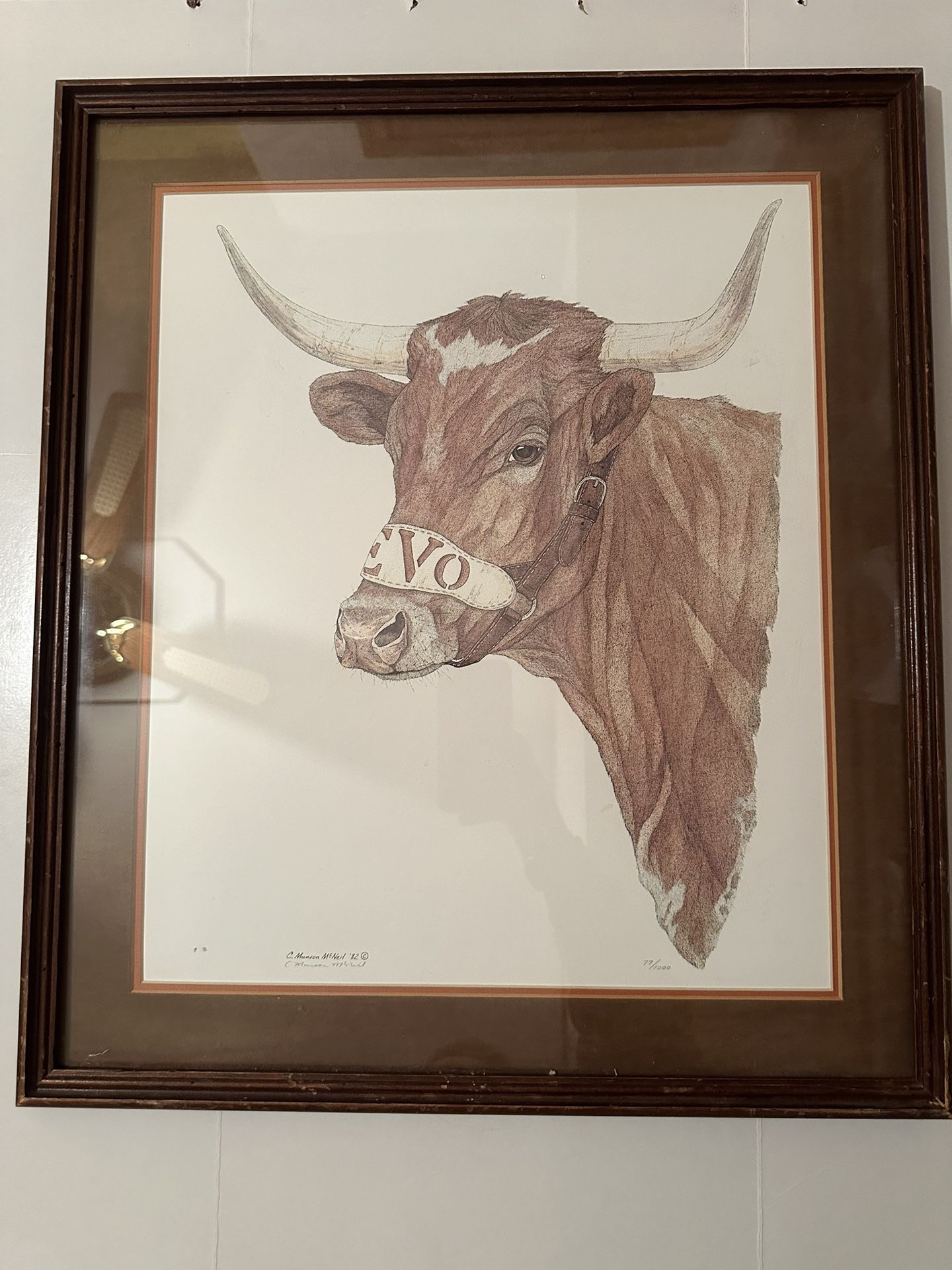 BEVO Cathy Munson McNeil 1982 Pencil, Ink Watercolor Painting Texas Longhorn