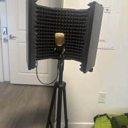 Microphone and stand